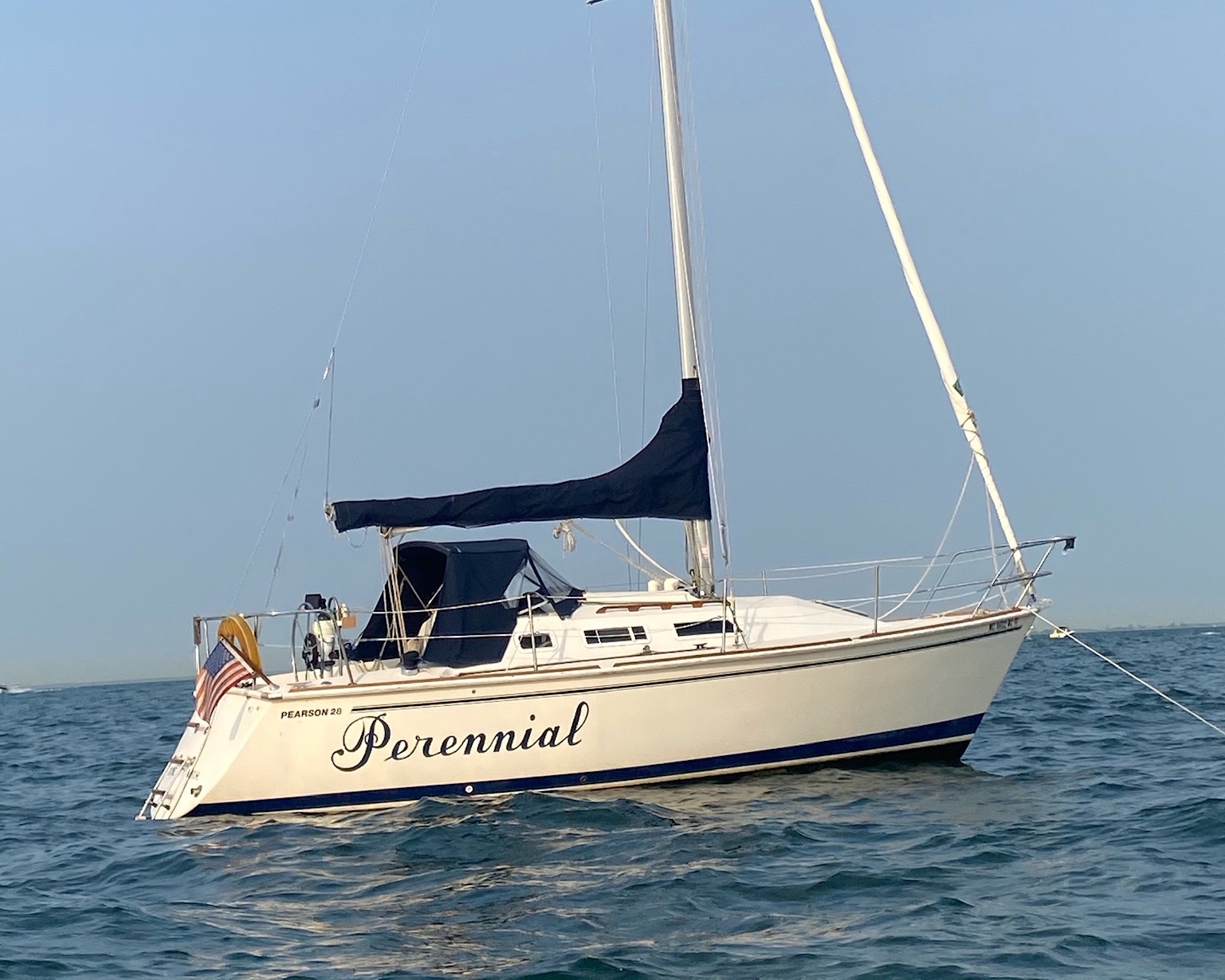 Perennial